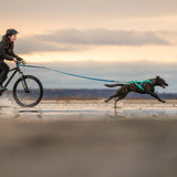 Non-Stop Dogwear Freemotion Harness 5.0, Aqua