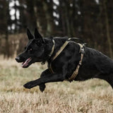 Non-Stop Dogwear Line Harness Grip WD, Olive