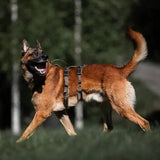 Non-Stop Dogwear Line Harness Long WD, Olive