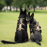 Non-Stop Dogwear Line Harness Long WD, Olive