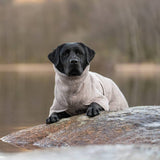 Non-Stop Dogwear Drying Coat, Sand