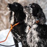 Non-Stop Dogwear Retriever Leash, Orange