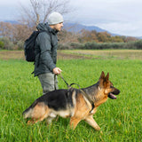 Non-Stop Dogwear Touring Bungee Leash WD, Black