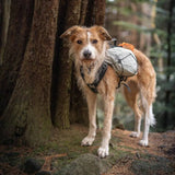 Non-Stop Dogwear Trail Light Dog Backpack, Glacier Grey