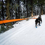 Non-Stop Dogwear Bungee Leash, Blue