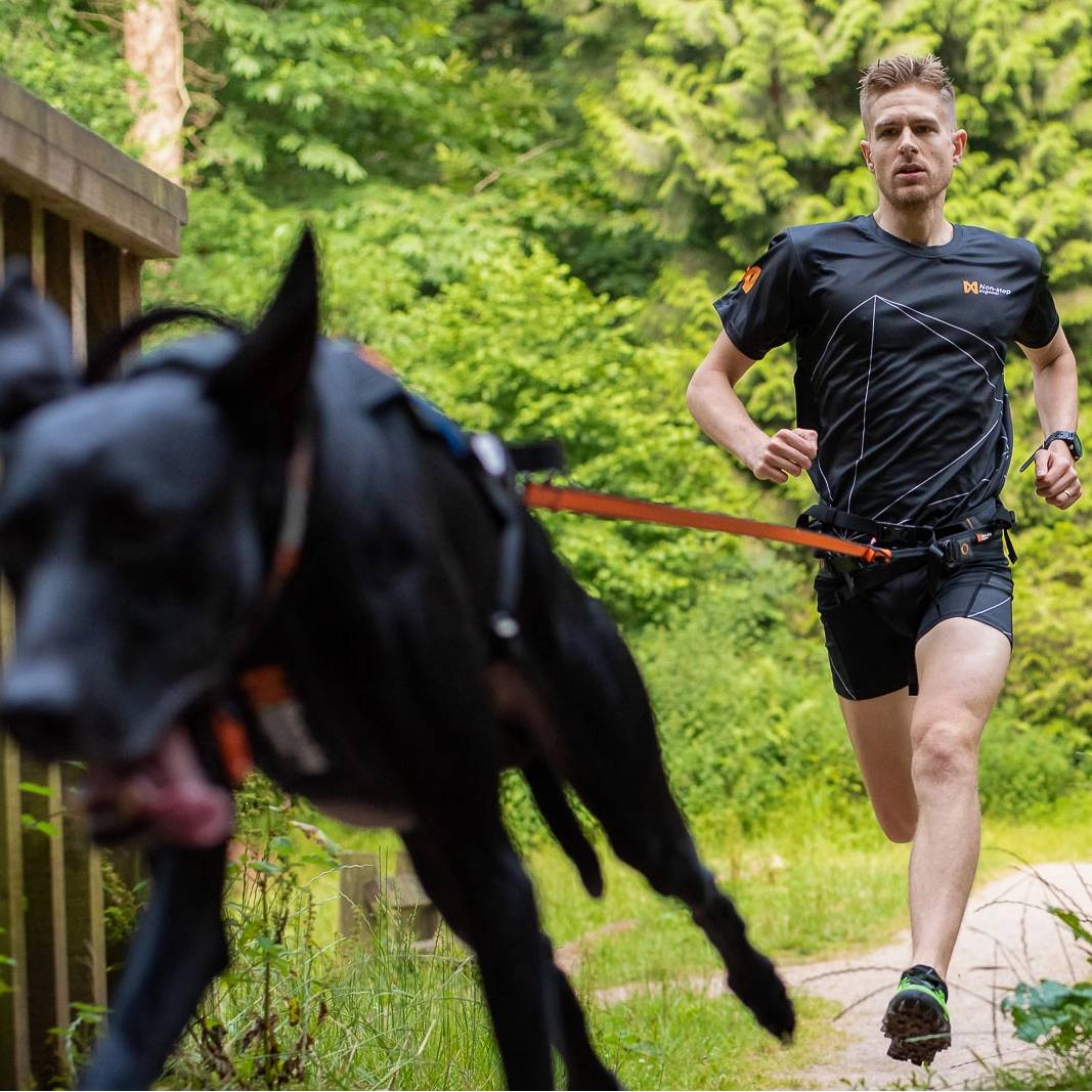 Non-Stop Dogwear Bungee Leash, Blue