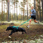 Non-Stop Dogwear Bungee Leash, Ice Blue