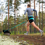 Non-Stop Dogwear CaniX Belt 2.0, Aqua/Pink