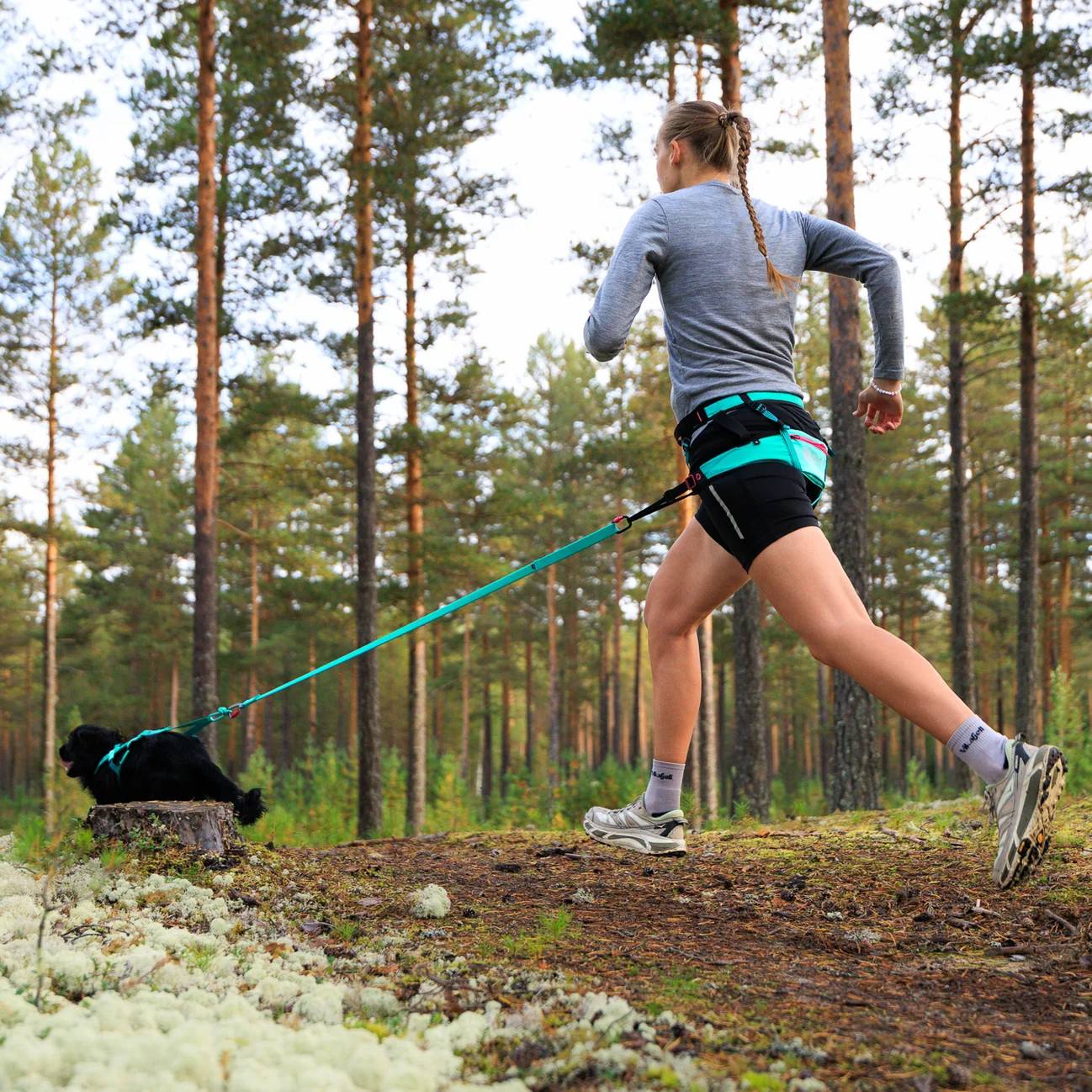 Non-Stop Dogwear CaniX Belt 2.0, Aqua/Pink