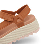 Reef Water Rem Higher, Cameo Rose