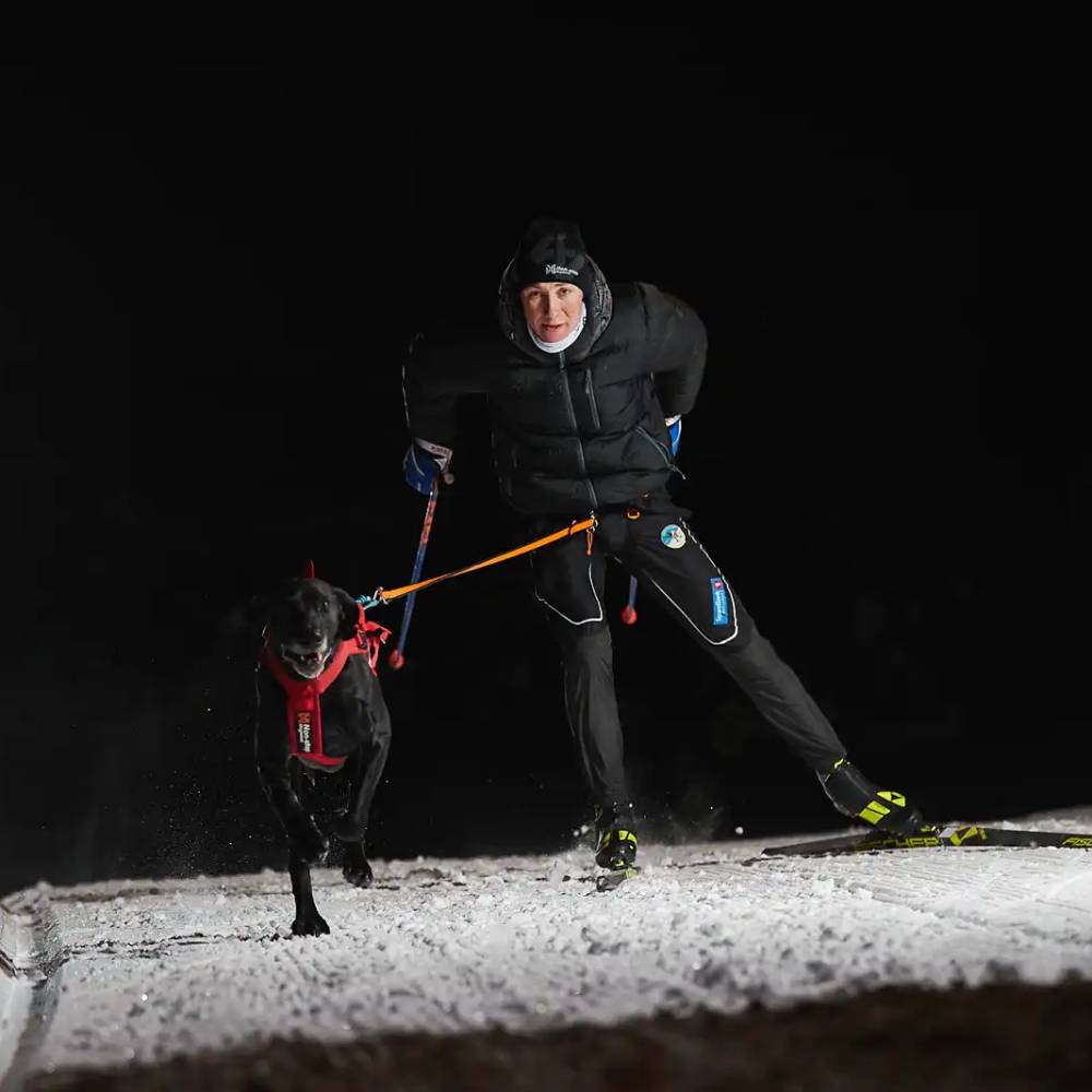 Non-Stop Dogwear Combined Harness, Red