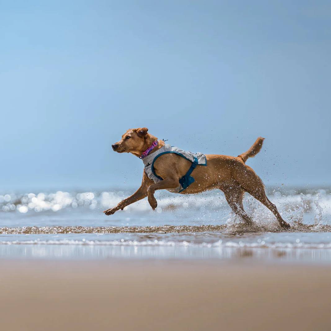 Non-Stop Dogwear Cooling Vest, Light Grey/Teal