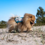 Non-Stop Dogwear Cooling Vest, Light Grey/Teal