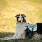 Non-Stop Dogwear Cooling Vest, Light Grey/Teal