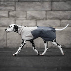 Non-Stop Dogwear Fjord Raincoat 2.0, Teal