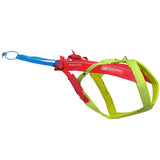 Non-Stop Dogwear Freemotion Harness 5.0 Limited Edition, Yellow/Pink/Blue