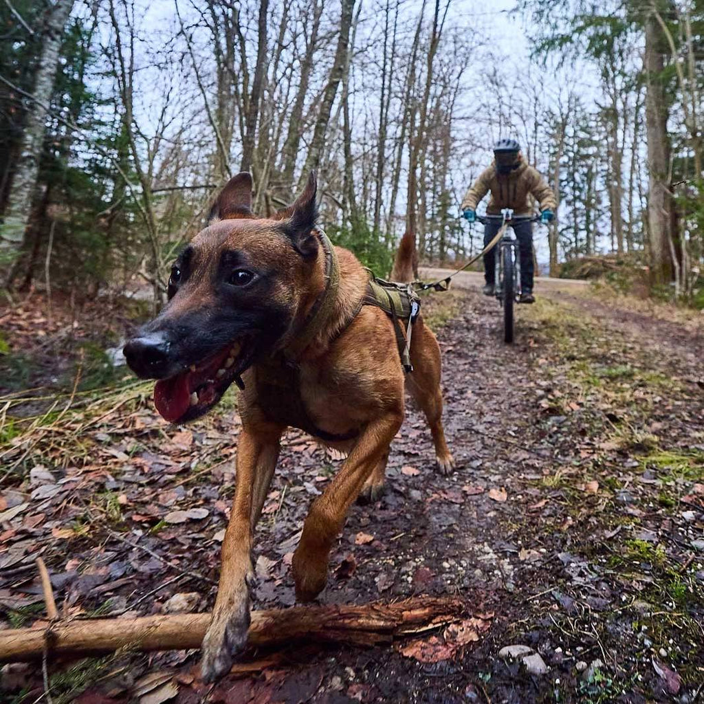 Non-Stop Dogwear Freemotion Harness WD, Olive