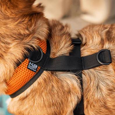 K9 Sport Dog Harness, Orange
