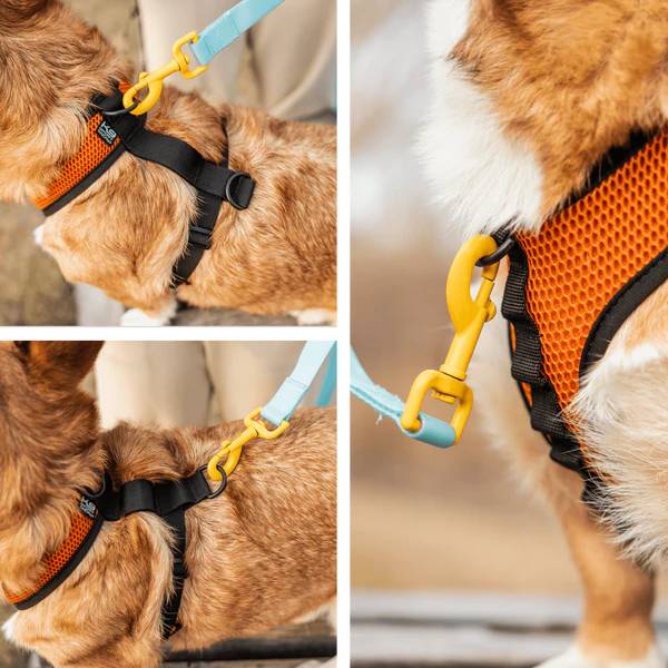 K9 Sport Dog Harness, Orange