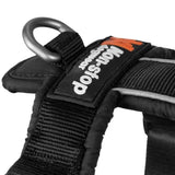 Non-Stop Dogwear Line Harness 5.0, Teal