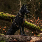 Non-Stop Dogwear Line Harness Grip WD, Olive