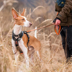 Non-Stop Dogwear Line Harness Grip, Black