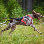 Non-Stop Dogwear Freemotion Harness 5.0, Pink/Grey