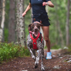 Non-Stop Dogwear Freemotion Harness 5.0, Pink/Grey