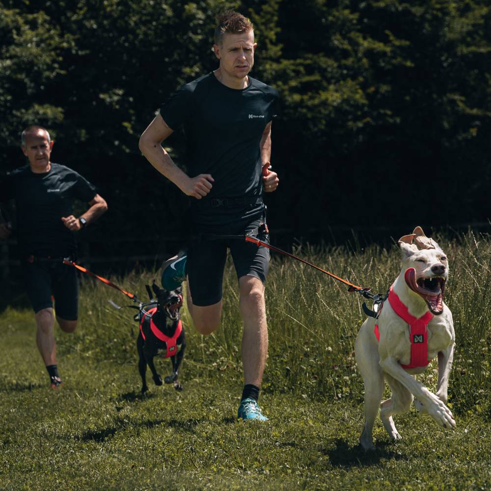 Non-Stop Dogwear Freemotion Harness 5.0, Pink/Grey