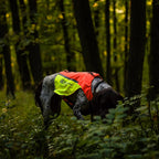 Non-Stop Dogwear Protector Vest 2.0, Orange