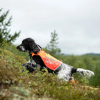Non-Stop Dogwear Protector Vest 2.0, Orange