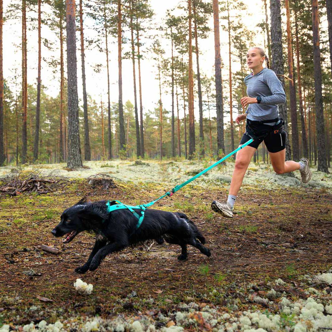 Non-Stop Dogwear Bungee Leash, Aqua