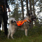 Non-Stop Dogwear Camo Cover, Orange