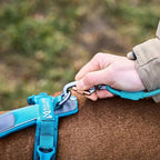 Non-Stop Dogwear Trekking Rope Leash, Teal