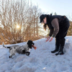 Non-Stop Dogwear Obedience Vest Women's, Black