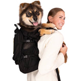 K9 Sport Sack | Plus 2 Backpack, Black