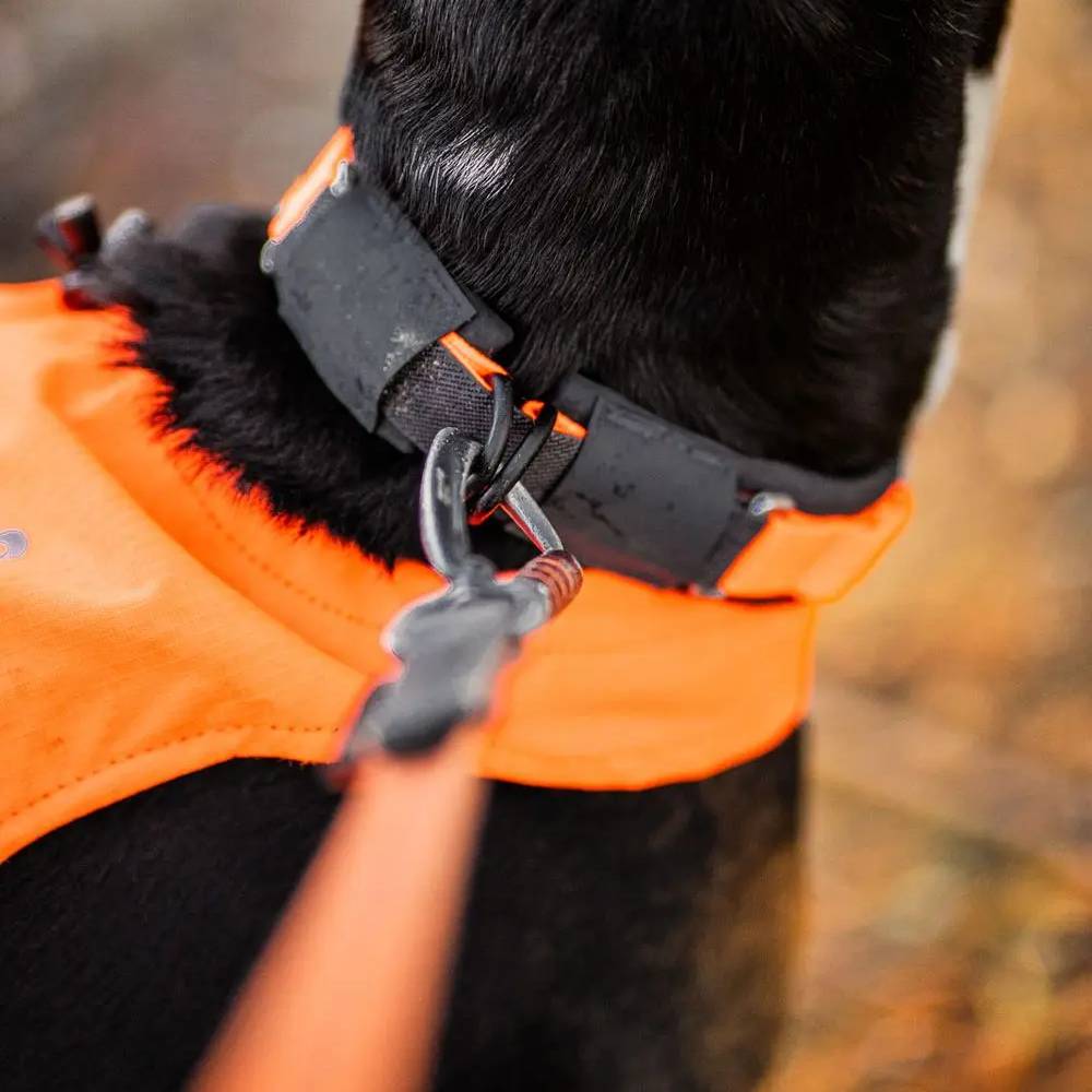 Non-Stop Dogwear Protector Collar, Orange