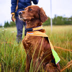 Non-Stop Dogwear Protector Collar, Orange