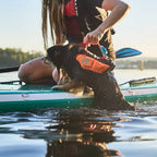 Non-Stop Dogwear Protector Life Jacket, Black/Orange