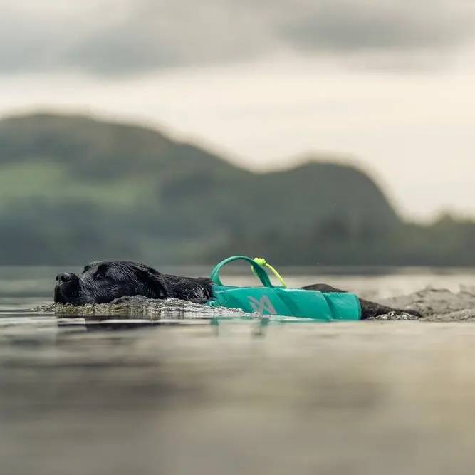 Non-Stop Dogwear Protector Life Jacket, Teal