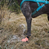 Non-Stop Dogwear Protector Light Socks, Orange