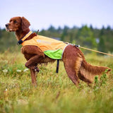 Non-Stop Dogwear Protector Round Long Line, Orange