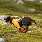 Non-Stop Dogwear Protector Half Suit, Orange