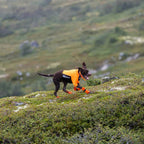 Non-Stop Dogwear Protector Half Suit, Orange