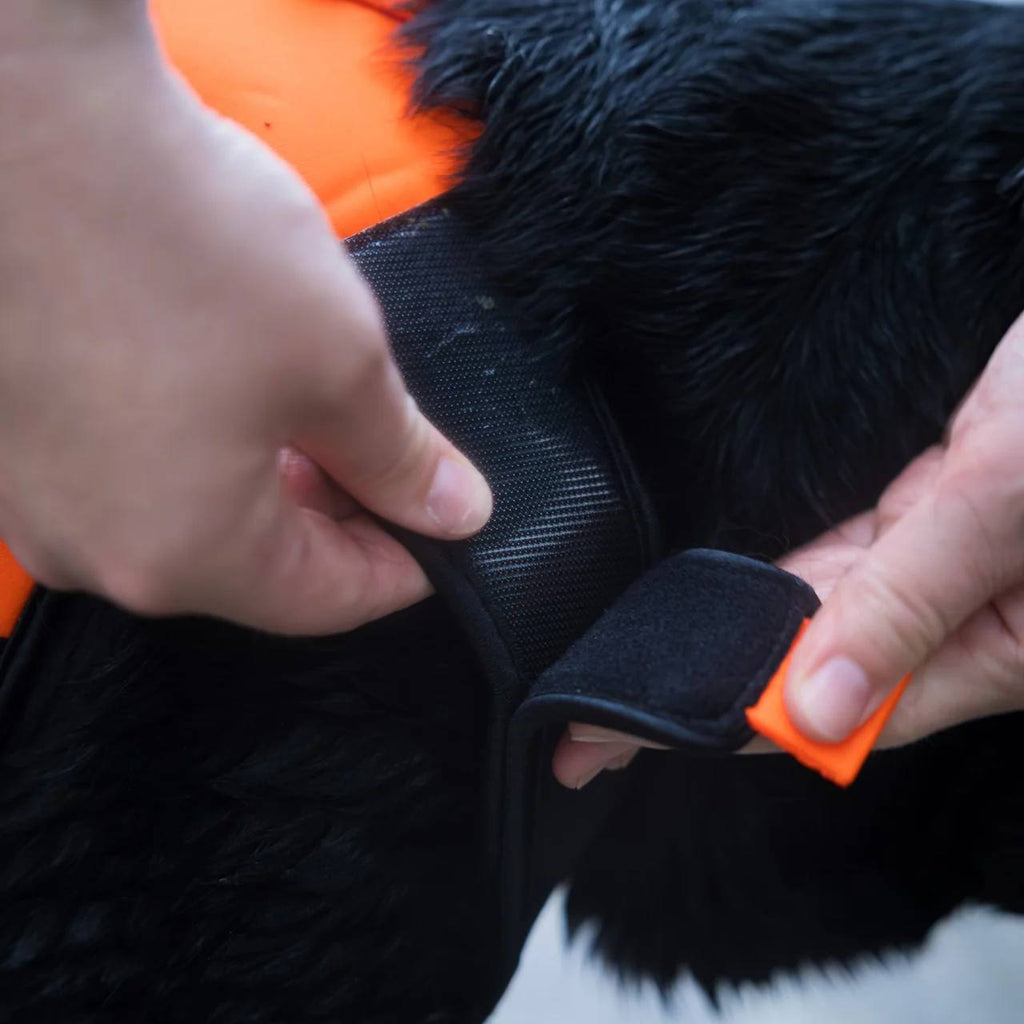 Non-Stop Dogwear Protector Neoprene Vest, Orange