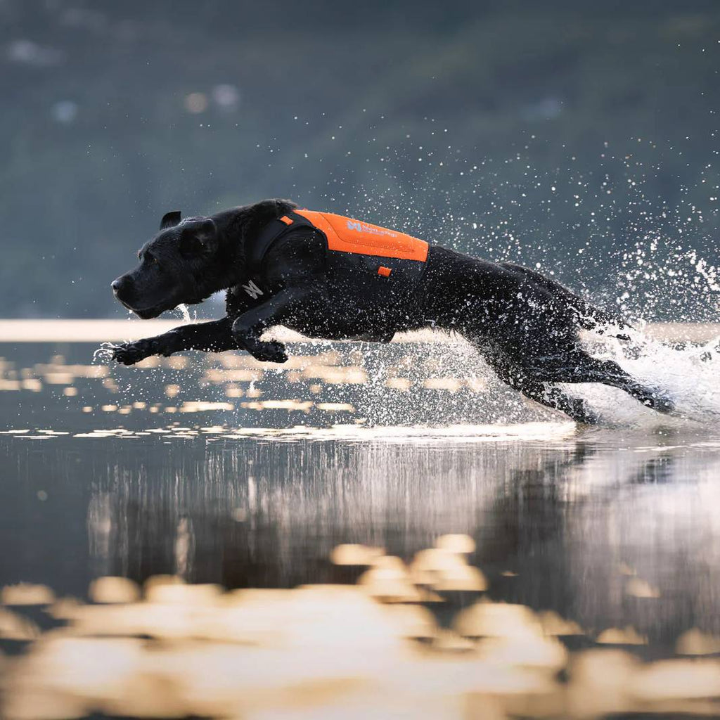 Non-Stop Dogwear Protector Neoprene Vest, Orange