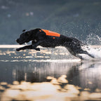 Non-Stop Dogwear Protector Neoprene Vest, Orange