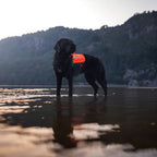Non-Stop Dogwear Protector Neoprene Vest, Orange