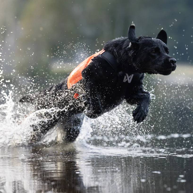 Non-Stop Dogwear Protector Neoprene Vest, Orange