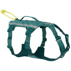 Non-Stop Dogwear Ramble Harness Long, Teal